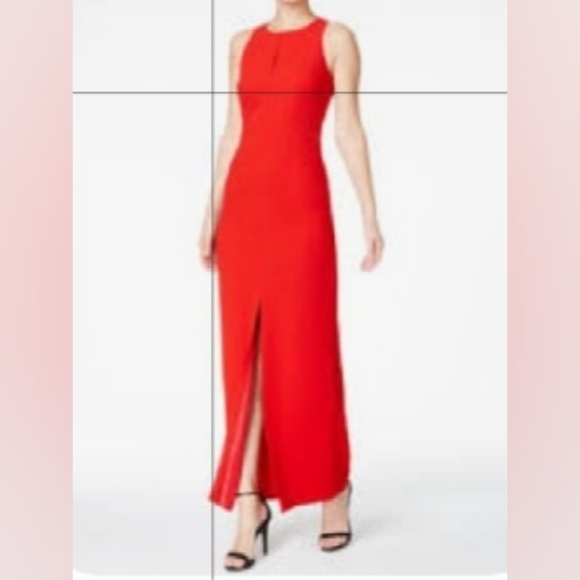 Bebe Maxi Dress - Picture 4 of 6